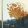 10 Lux Coin – Community Currency - Image 2